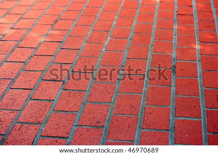 The road to a garden is laid out by a red brick.