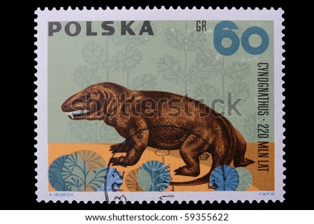 Poland - CIRCA 1969: A stamp is printed in Poland, Cynognathus, let out CIRCA in 1969.