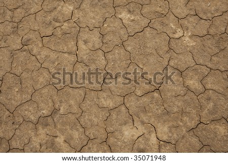 Dry Mud Cracks