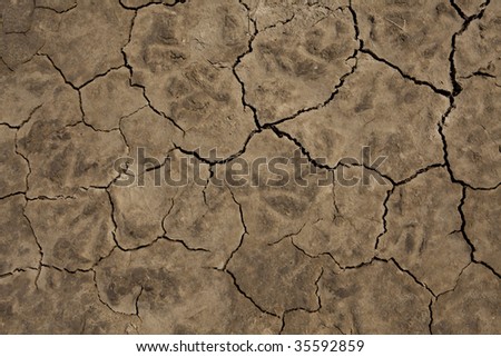 Cracked Mud background