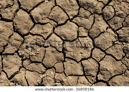 Deep Mud Cracks Background