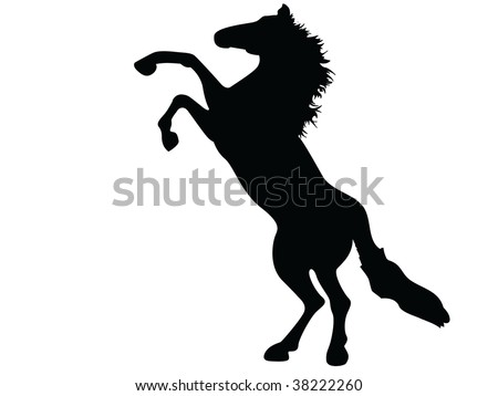 mustang horse logo. wild horse mustang vector
