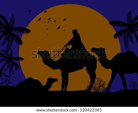 Bedouin camel caravan in wild africa landscape on sunset, vector illustration