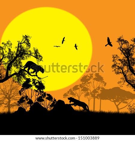 Wild cats in wild nature landscape at sunset, vector illustration
