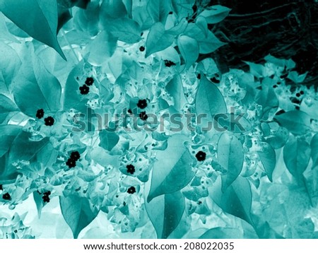 Flowers abstract background, negative image effect