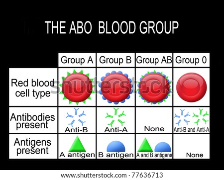 The Abo Blood Group Diagram (Useful For Medical Education And Schools ...