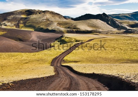 Iceland road: black lava sand and yellow moss