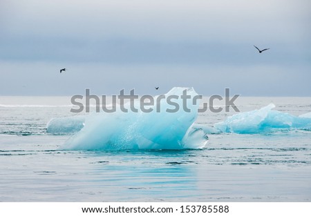 Blue icebergs in sea and some birds