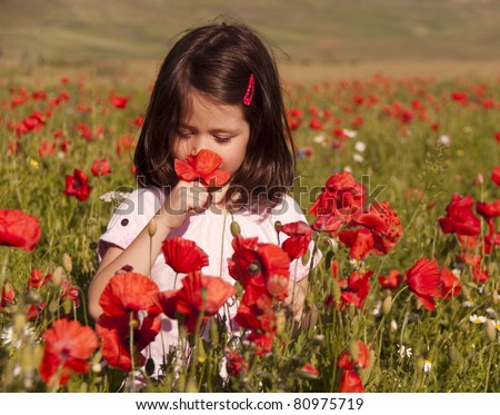 Jukebox II Stock-photo-little-girl-sniffing-flowers-in-a-poppy-field-80975719