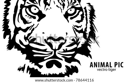 black vector tiger on white background