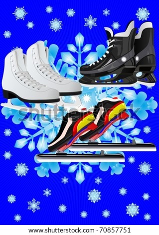 Winter Sports. Skates for different sports