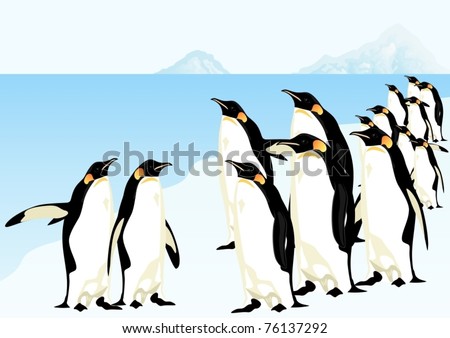 group of penguins