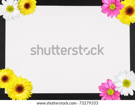 Daisies decorating the four corners forming a border on a piece of paper with copy space
