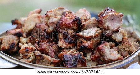 pieces of grilled meat on a plate