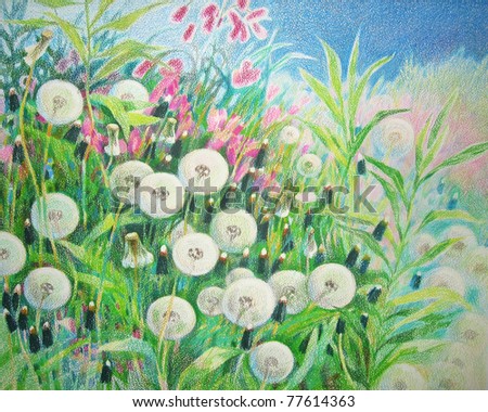 stock photo dandelions color pencil drawing Save to a lightbox 