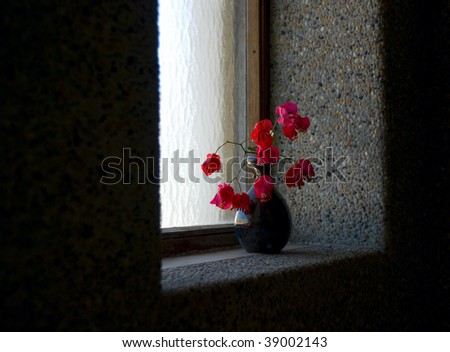 Red flower in a vase on the window