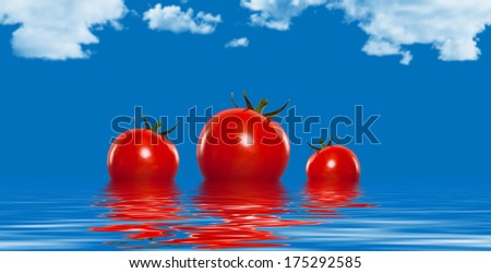 Three tomatoes floating in water