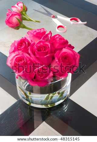 Beautiful Images Of Roses. stock photo : Beautiful