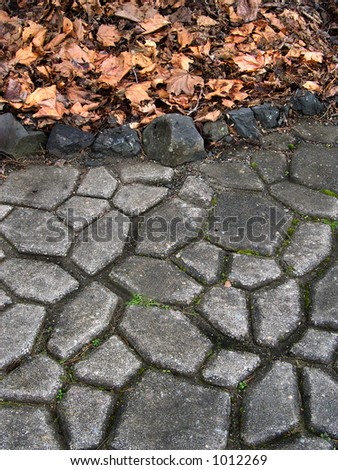 Fallen leaves and paving stones
