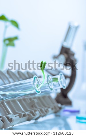 Green plants and scientific equipment in biology laborotary Green plants and scientific equipment in biology laborotary