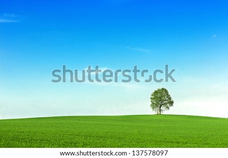 Field with green grass and tree.Green planet - Earth