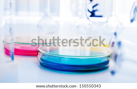 color liquid in glass petri dishes  in scientific lab .medical glassware