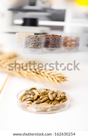 Seed subject to selection in Microbiological laboratory.Microbiological Testing for Food Quality
