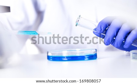 Scientist hand holding a laboratory pipette filled with liquid over petri dishes