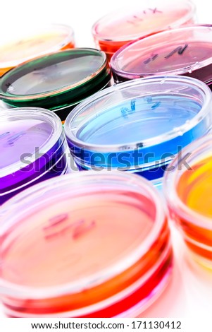 Petri plates with color liquid for bacteria research
