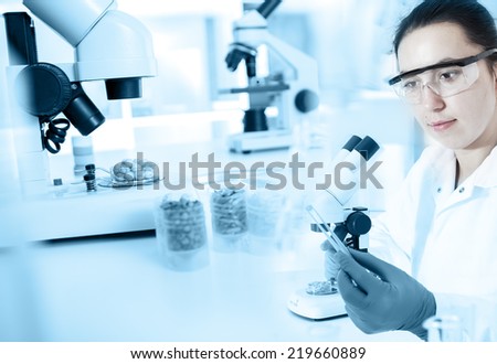 laboratory assistant in the laboratory of food quality