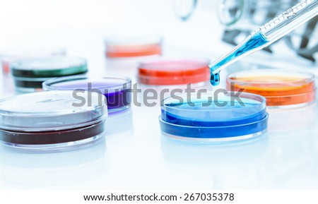 Pipette with drop of color liquid and petri dishes Pipette with drop of color liquid and petri dishes