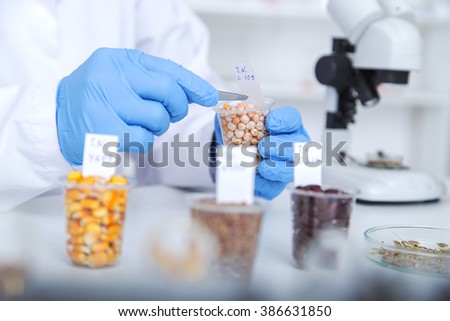 Chemical Laboratory of the Food supply . Food in laboratory, dna modify .Toning image