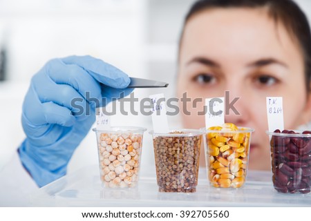 Laboratory assistant in the laboratory of of food quality.Cell culture assay to test genetically modified seed