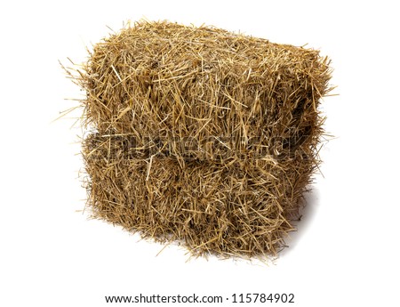 Studio shot of hay isolated on white Studio shot of hay isolated on white