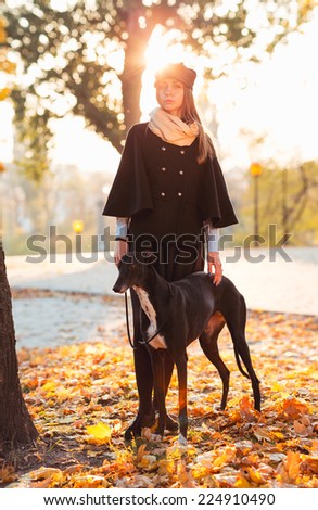 Young attractive girl dressed elegantly walks with the dog greyhound autumn outdoors