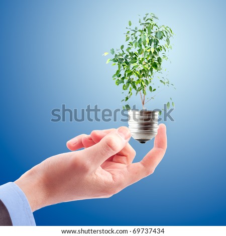 Hand with lamp and plant