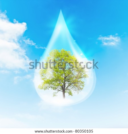 Green Tree inside a clean drop of water as a symbol of environmental protection