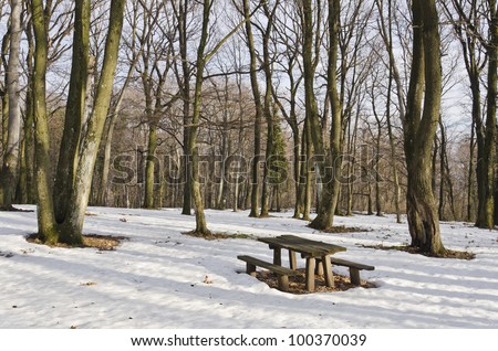 Snowy forest - wooden table and bench in the forest after a snowfall.