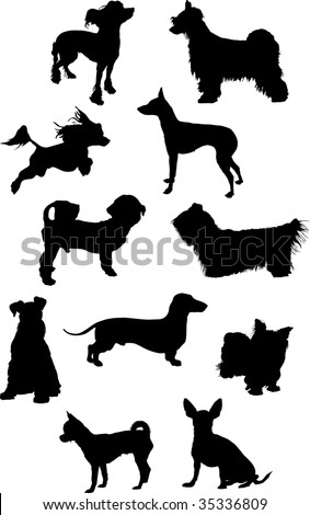 names of dog breeds and pictures. Toy Dog Breeds List.