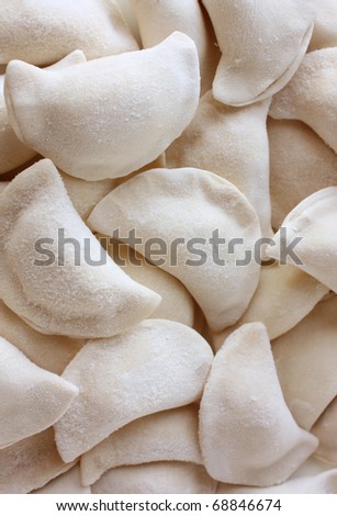 raw dumplings
