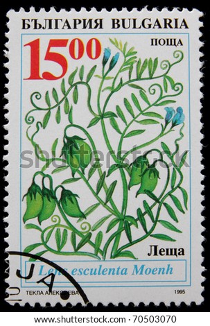 BULGARIA - CIRCA 1995 : A post stamp printed in Bulgaria shows lentil , The Lens Esculenta plant, circa 1995