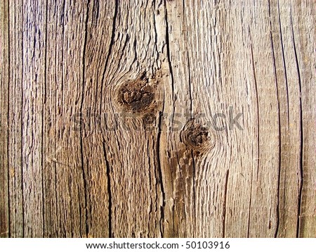 background texture wood. hair wood background texture.