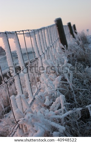 winter, cold, snow, christmas, landscape,wall,