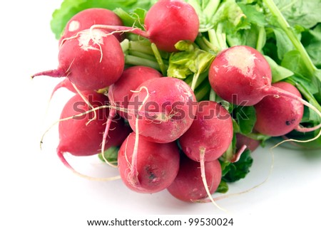 bunch of fresh radishes on white with soft shadow