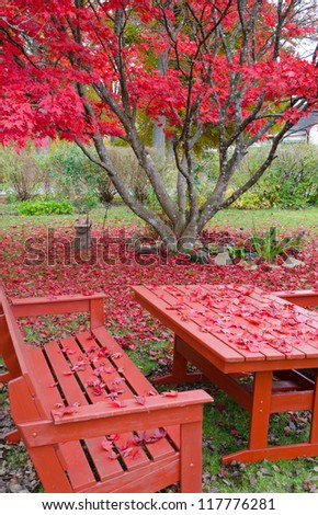 Late autumn in home garden