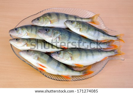 Fresh perch fishes on a kitchen platter