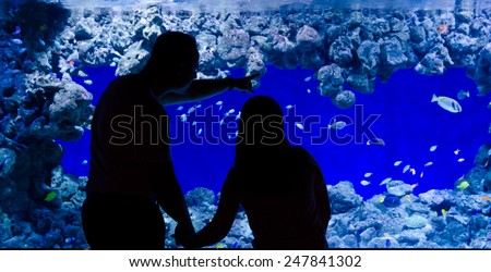 Father and daughter looking for aquarium fishes