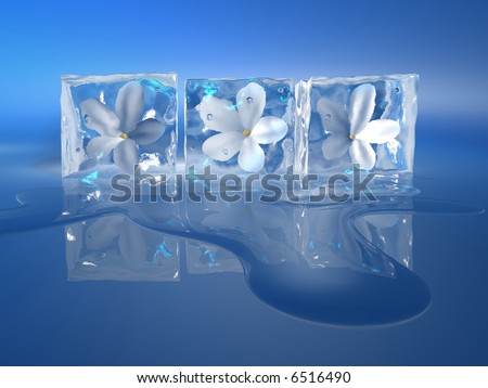 Three ice cubes with a flowers inside and water stain on blue background - 3d render