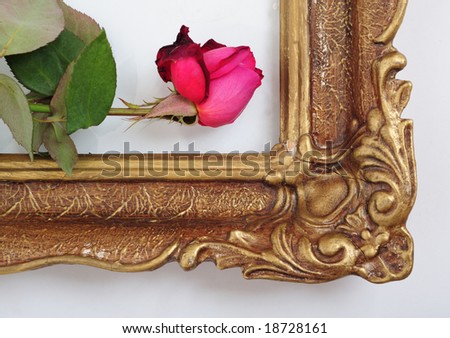 A red rose on an aged picture frame