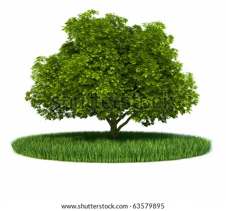 stock photo Grass green tree ring this is a 3d render illustration